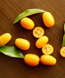 Brighter Blooms New Trees Nagami Kumquat Tree