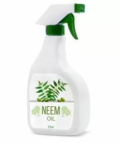 Brighter Blooms Neem Oil Pest & Disease Control