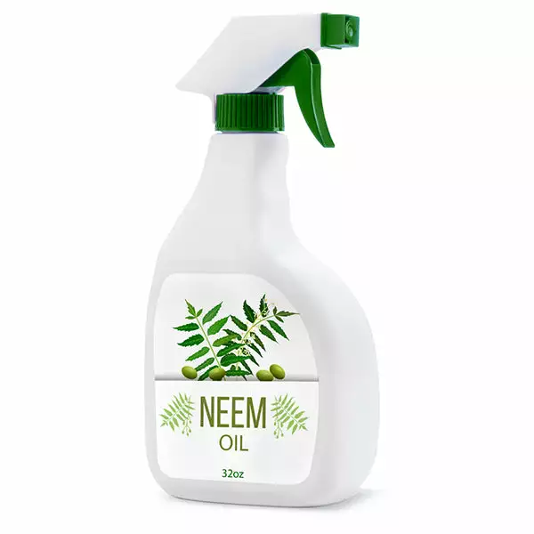Brighter Blooms Neem Oil Pest & Disease Control 1 Brighter Blooms Neem Oil Pest & Disease Control
