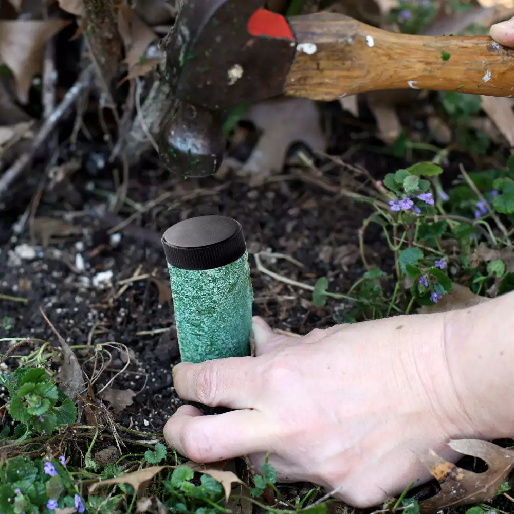 Brighter Blooms Palm Tree Fertilizer Spikes Palm Trees 4 Brighter Blooms Palm Tree Fertilizer Spikes Palm Trees