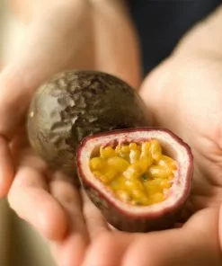 Brighter Blooms Passion Fruit Vine Fruit Trees 10 Brighter Blooms Passion Fruit Vine Fruit Trees