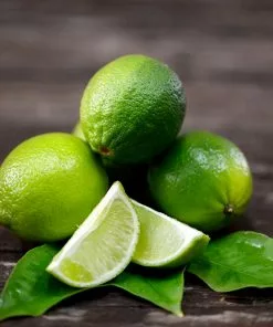 Brighter Blooms Persian 'Bearss' Lime Bush 7 Brighter Blooms Persian 'Bearss' Lime Bush