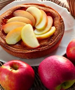 Brighter Blooms Apples Trees Pink Lady Apple Tree 9 Brighter Blooms Apples Trees Pink Lady Apple Tree