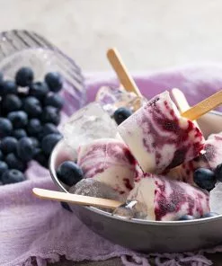 Brighter Blooms Fruit Trees Powderblue Blueberry Bush 11 Brighter Blooms Fruit Trees Powderblue Blueberry Bush