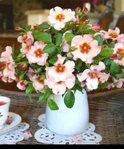 Brighter Blooms Raspberry Kiss™ Rose Tree 7 Brighter Blooms Raspberry Kiss™ Rose Tree