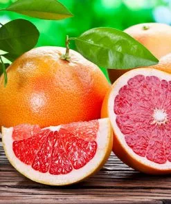 Brighter Blooms Ruby Red Grapefruit Tree New Trees