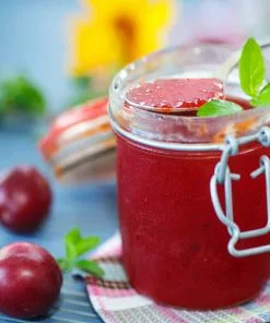 Brighter Blooms Santa Rosa Plum Tree 10 Brighter Blooms Santa Rosa Plum Tree