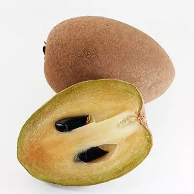 Brighter Blooms Sapodilla Tree SHOP ALL 2 Brighter Blooms Sapodilla Tree SHOP ALL