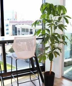 Brighter Blooms Umbrella Tree House & Patio