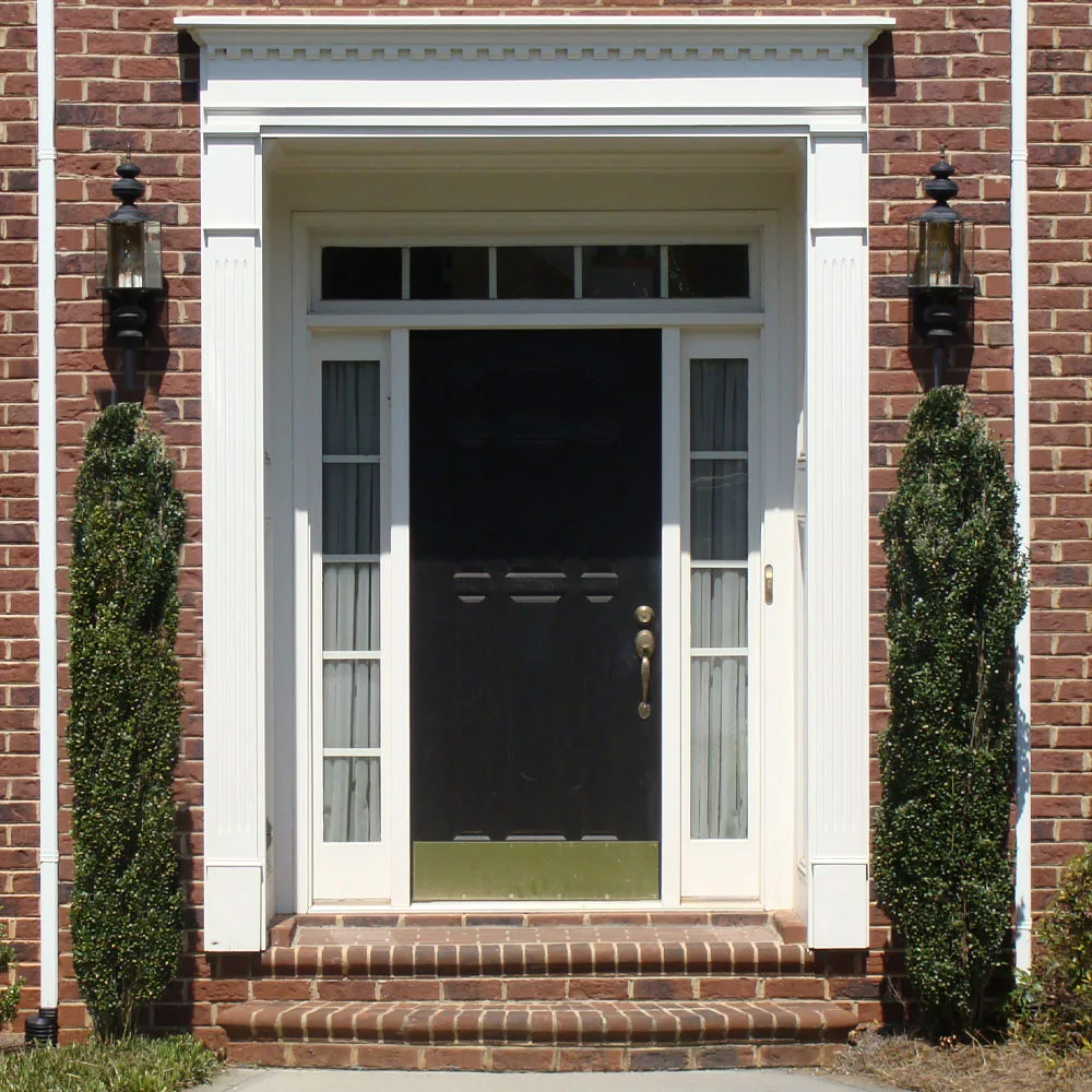 Brighter Blooms Evergreen & Privacy Sky Pencil Holly Tree 5 Brighter Blooms Evergreen & Privacy Sky Pencil Holly Tree