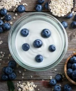 Brighter Blooms Blueberry Bushes Spartan Blueberry Bush 9 Brighter Blooms Blueberry Bushes Spartan Blueberry Bush