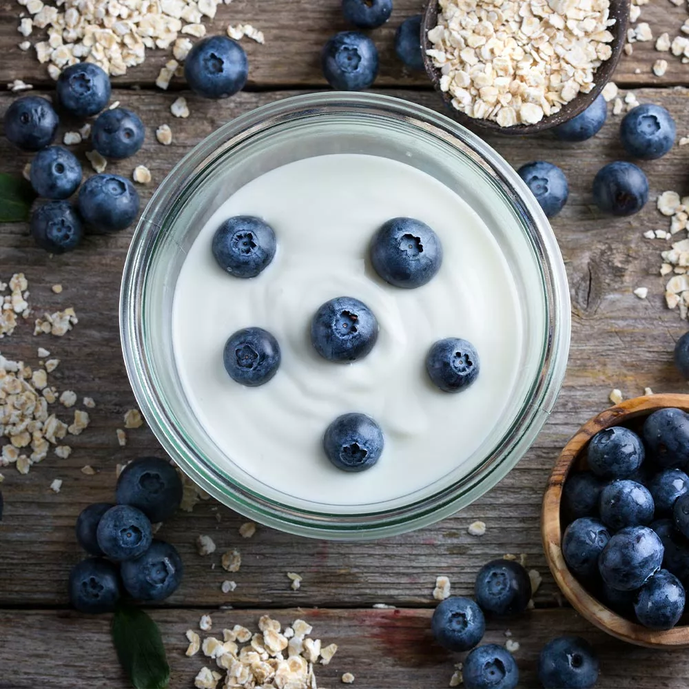 Brighter Blooms Blueberry Bushes Spartan Blueberry Bush 5 Brighter Blooms Blueberry Bushes Spartan Blueberry Bush