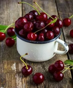 Brighter Blooms Stella Cherry Tree 6 Brighter Blooms Stella Cherry Tree