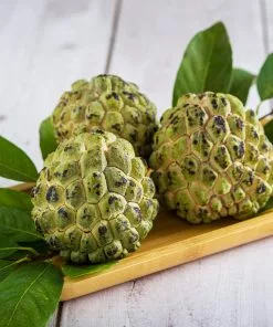 Brighter Blooms Sugar Apple Tree Fruit Trees 7 Brighter Blooms Sugar Apple Tree Fruit Trees