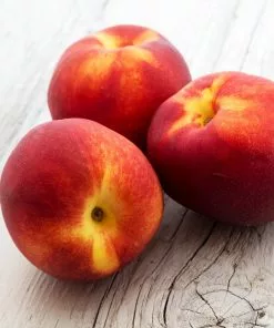 Brighter Blooms Sunglo Nectarine Fruit Trees 6 Brighter Blooms Sunglo Nectarine Fruit Trees