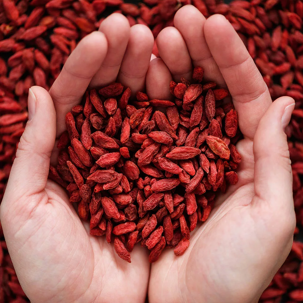 Brighter Blooms Fruit Trees Healthy Superfoods Kit 5 Brighter Blooms Fruit Trees Healthy Superfoods Kit