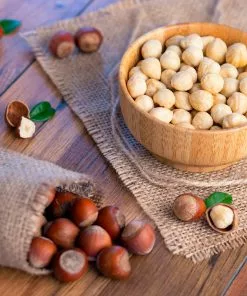 Brighter Blooms Theta Filbert Hazelnut Tree Nut Trees 7 Brighter Blooms Theta Filbert Hazelnut Tree Nut Trees