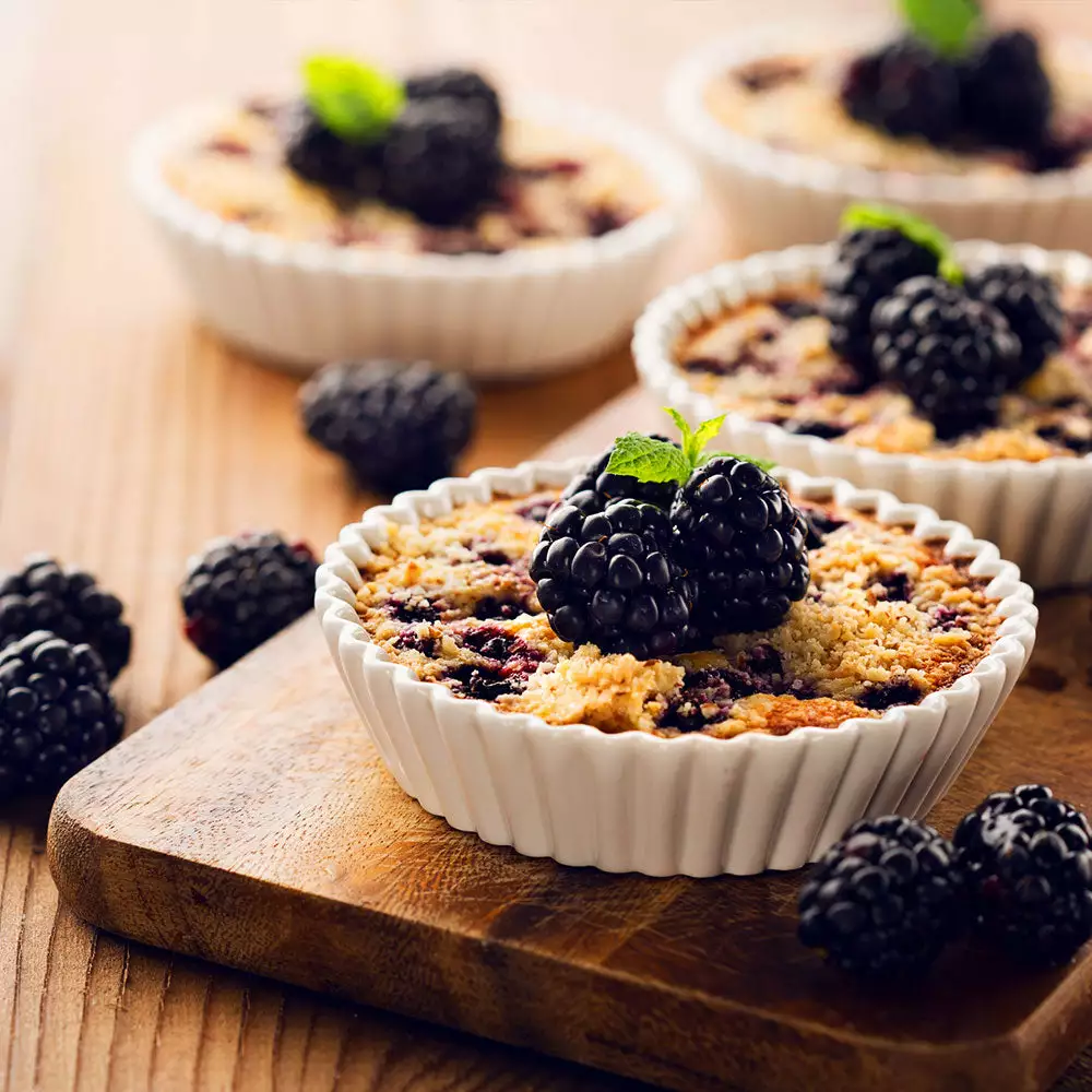 Brighter Blooms Fruit Trees Thornless Blackberry Bush 3 Brighter Blooms Fruit Trees Thornless Blackberry Bush