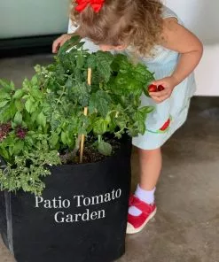Brighter Blooms House & Patio Patio Tomato Garden