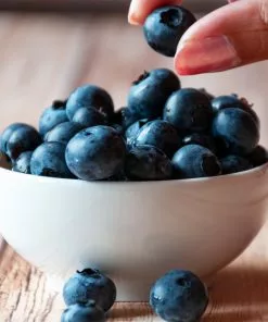 Brighter Blooms Blueberry Bushes Top Hat Blueberry Bush 8 Brighter Blooms Blueberry Bushes Top Hat Blueberry Bush