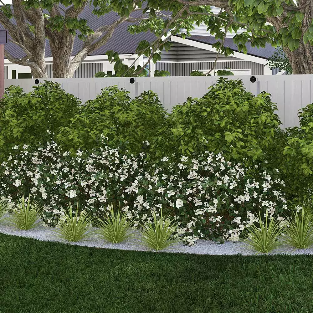 Brighter Blooms Warm-Climate Shade Garden Kit Shrubs & Hedges 2 Brighter Blooms Warm-Climate Shade Garden Kit Shrubs & Hedges