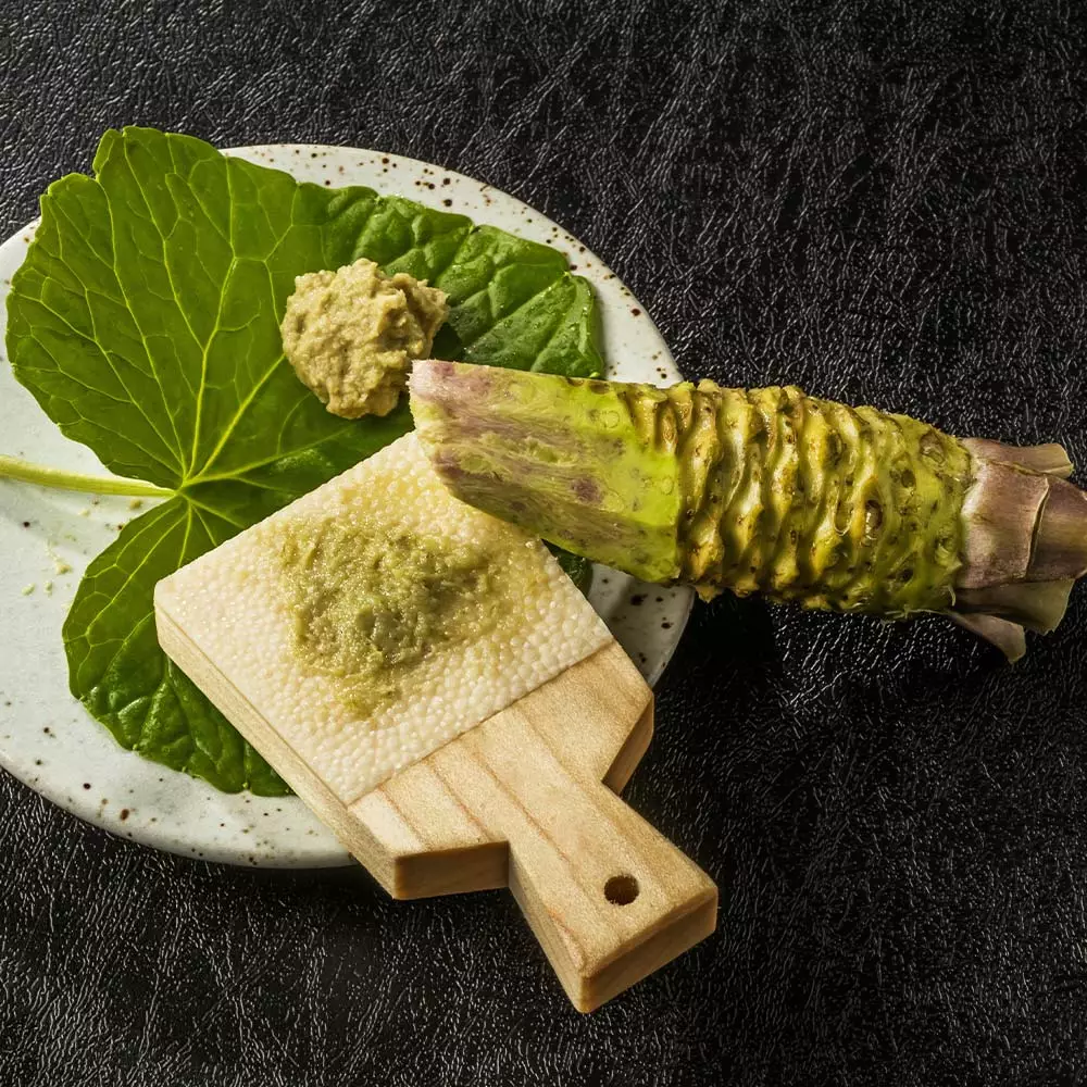 Brighter Blooms Wasabi Plant Fruit Trees 3 Brighter Blooms Wasabi Plant Fruit Trees