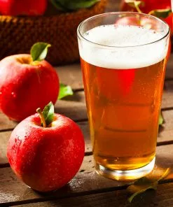 Brighter Blooms Fruit Trees Winesap Apple Tree 7 Brighter Blooms Fruit Trees Winesap Apple Tree