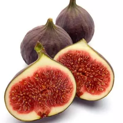 Brighter Blooms Texas Everbearing Fig Tree Fruit Trees 2 Brighter Blooms Texas Everbearing Fig Tree Fruit Trees
