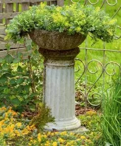 Brighter Blooms Sedum Tile SHOP ALL