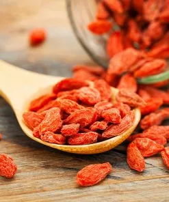 Brighter Blooms Sweet Lifeberry® Goji Berry Plant SHOP ALL 11 Brighter Blooms Sweet Lifeberry® Goji Berry Plant SHOP ALL