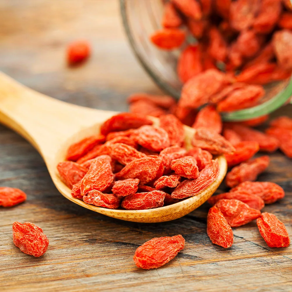 Brighter Blooms Sweet Lifeberry® Goji Berry Plant SHOP ALL 6 Brighter Blooms Sweet Lifeberry® Goji Berry Plant SHOP ALL